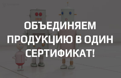 Что считать «семейством продукции» при объединении моделей в один сертификат или декларацию?
