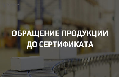 Обращение продукции до получения документа: что можно, что нельзя и чем это грозит